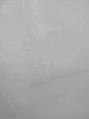 Kimmy ten Broek - Greyed Lavender kopen? Bied vanaf 125!