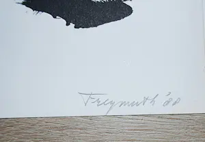 Alphons Freijmuth - ingelijste grote litho in rood/blauw/groen/zwart kopen? Bied vanaf 120!