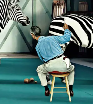 Mr. Strange - Les Zèbres kopen? Bied vanaf 85!