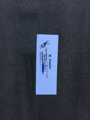 Henk Poeder - Vogels kopen? Bied vanaf 99!