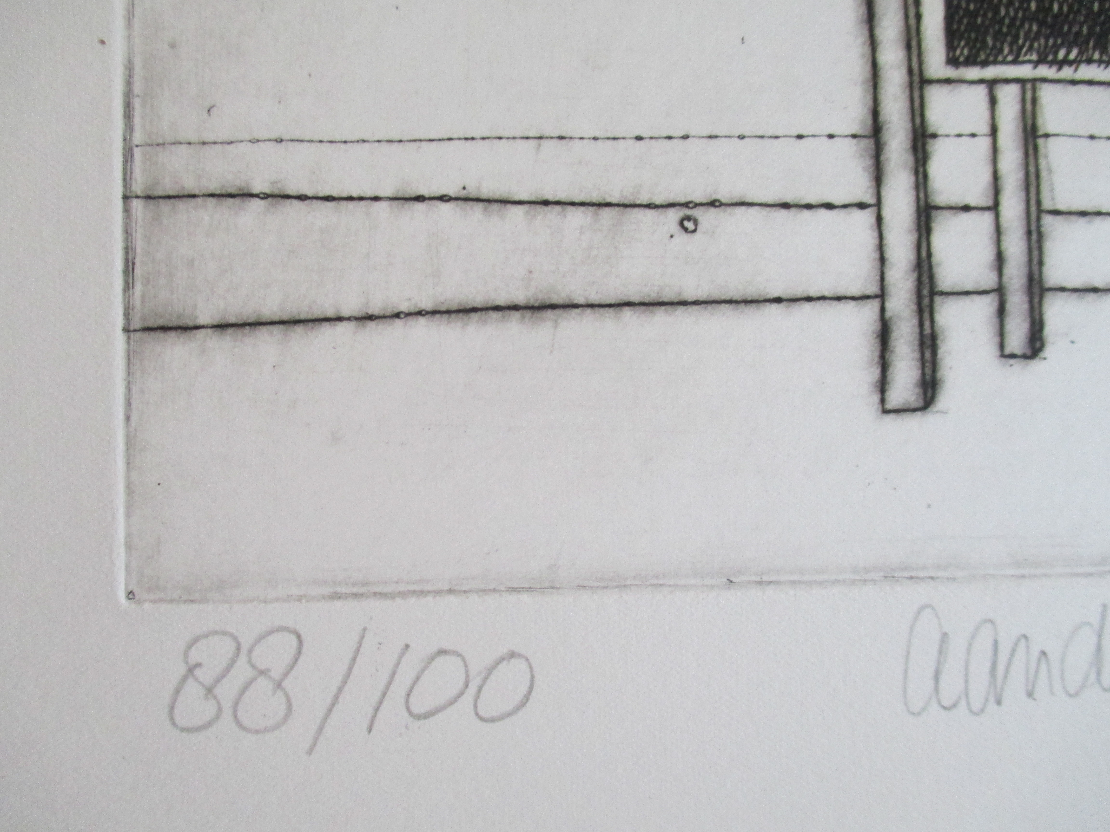 Gradus Verhaaf - Ets "Aandacht voor dodo" 1977 kopen? Bied vanaf 25!