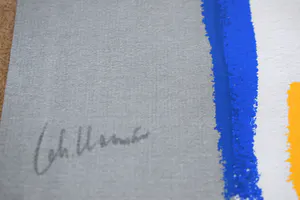 Johan Haanstra - Strandhuisjes kopen? Bied vanaf 65!