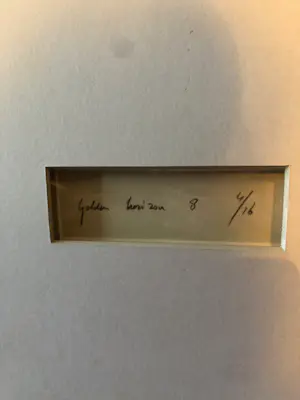 Rob Scholte - 2 stuks golden horizon 8 en 9 4/16 kopen? Bied vanaf 800!