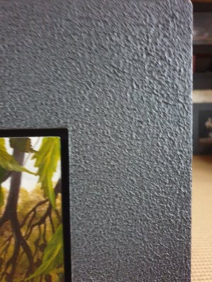 Jan Teunissen - Twee kalveren in weiland kopen? Bied vanaf 200!