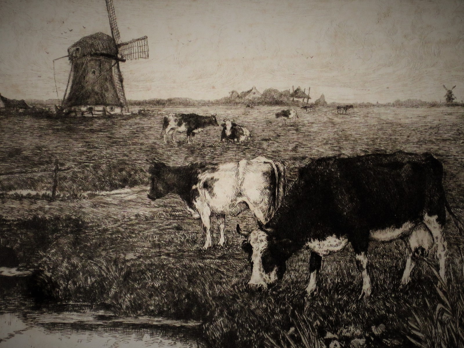 Jacob van Rossum - gesigneerde ets "Koeien en Molen in Polderlandschap" kopen? Bied vanaf 1!