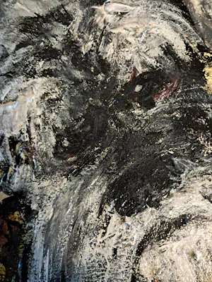 Anke Peddemors - Hond schnauzer kopen? Bied vanaf 35!