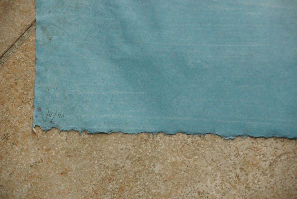 Helma Pantus - Laatste x! Helma Pantus - litho op rijstpapier kopen? Bied vanaf 60!