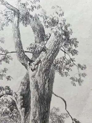 Barend Cornelis Koekkoek - Bomen. Litho. kaufen? Bieten Sie von 20!