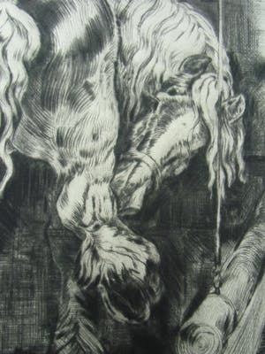 Kuno Brinks - PAARD kopen? Bied vanaf 80!