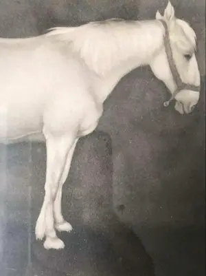 Jan Mankes - Originele Heliogravure Wit Paard 1923 kopen? Bied vanaf 85!