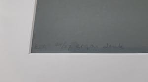 Dirk Huizer - Blok kopen? Bied vanaf 50!