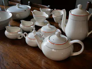 Firma Regout & Co - servies kopen? Bied vanaf 100!