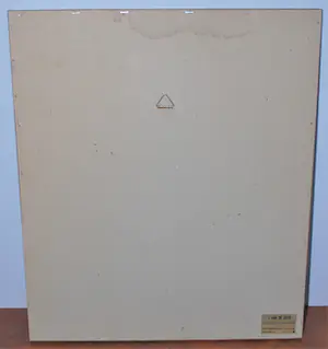 Cris Agterberg - lithografische druk NHM gebouw kopen? Bied vanaf 60!