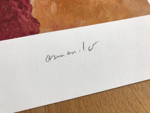 Armando Armando - Gestalt kopen? Bied vanaf 155!