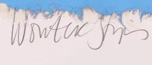 Wouter Stips - Zeefdruk, Home, Cat, Angel kopen? Bied vanaf 1!