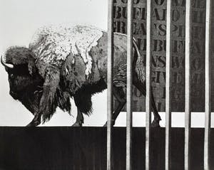 Rene Polak - Great Buffalo, aquatint ets (zeer kleine oplage) kopen? Bied vanaf 50!