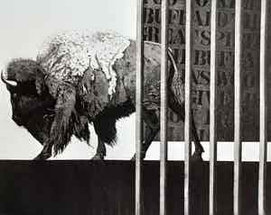 Rene Polak - Great Buffalo, aquatint ets (zeer kleine oplage) verkocht voor € 50!