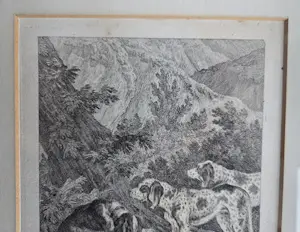 Johann Elias Ridinger - Vier gravures. Jachthonden. Ingelijst. kopen? Bied vanaf 160!