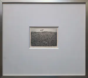 Eelco Glastra van Loon - Zonder - Titel 2/25 - ets - 1975 - ingelijst - 25644 kopen? Bied vanaf 65!