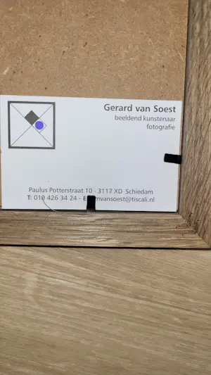 Gerard van Soest - Boomstammen kopen? Bied vanaf 25!