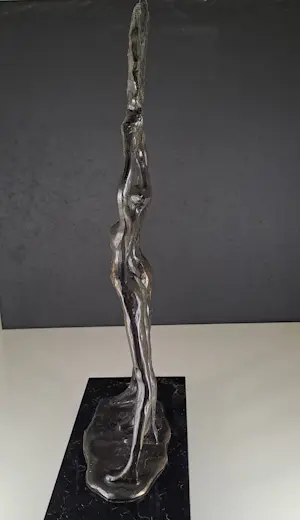 Corry Ammerlaan - LOOK FOR THE SUN-THE SUN SHINES kopen? Bied vanaf 100!