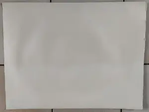 Jeanne Bieruma Oosting - Stadspark met kinderen kopen? Bied vanaf 200!