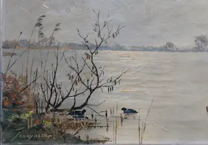 Jo Schrijnder - Meerkoeten (ochtend) kopen? Bied vanaf 222!
