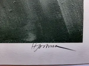 Hannes Postma - zeefdruk, Z.t. (kopje) kopen? Bied vanaf 40!