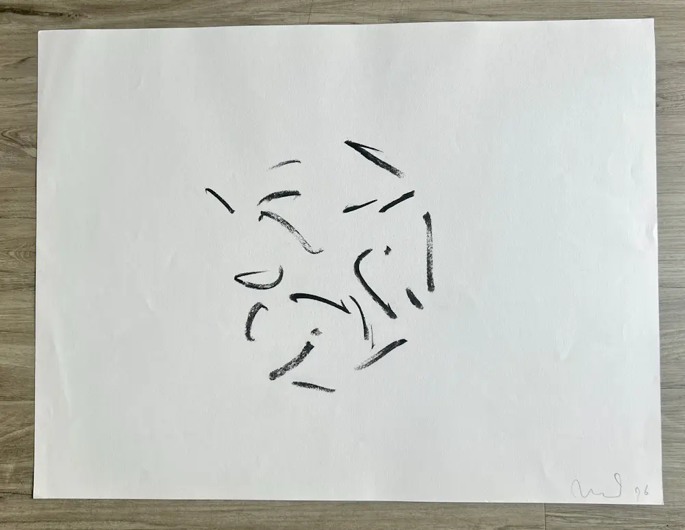 Wil Blommerde (1947)