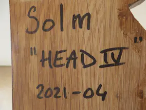 Eric van Solm - 'Head IV' kopen? Bied vanaf 325!