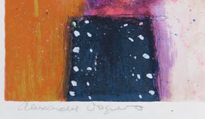 Alexander Vogels - Zeefdruk, Evolutions VII kopen? Bied vanaf 1!