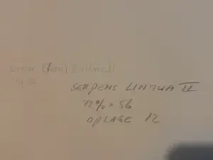 Lon Buttstedt - Kleurenlitho, Serpens Lingua II, Oplage 5/12 kopen? Bied vanaf 50!