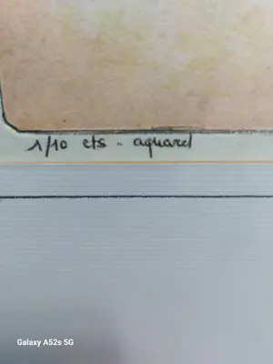 Pierre Yves Tremois - Le baiser au soleil kopen? Bied vanaf 300!