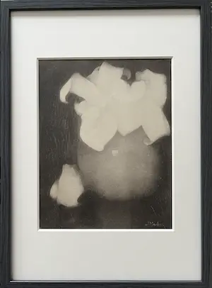 Jan Mankes - Originele Heliogravure Aronskelken 1923 kopen? Bied vanaf 85!