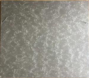 Ab Jongmans - Palm | grote litho - ingelijst kopen? Bied vanaf 39!