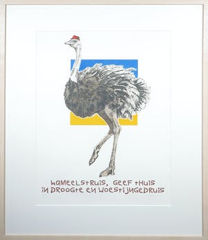 Els Maasson - Ets, Kameelstruis - Ingelijst kopen? Bied vanaf 20!