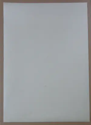 Nico Vrielink - HALFNAAKTE VROUWEN MET KIMONO / KLEURZEEFDRUK / 101x71cm / SIG kopen? Bied vanaf 45!