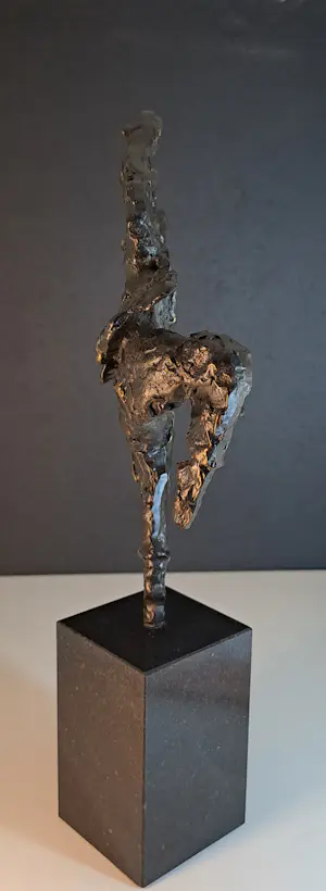 Wim Heesakkers - Dance kopen? Bied vanaf 50!