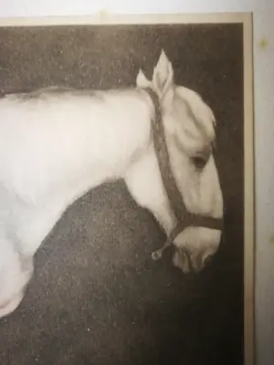 Jan Mankes - Heliogravure. Paard. kopen? Bied vanaf 1!