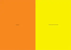 Walid Raad - point d'ironie kopen? Bied vanaf 10!