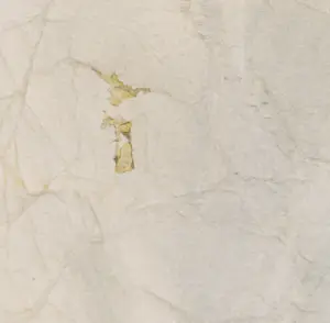 Geertjan van Oostende - Gemengde techniek op papier, Zonder titel - Ingelijst (Groot) kopen? Bied vanaf 50!