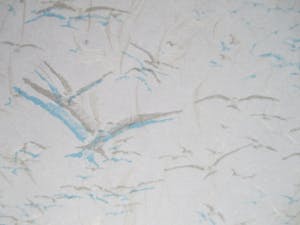 Josephine Sloet - Zeefdruk kopen? Bied vanaf 30!