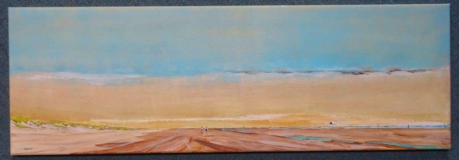 Franklin Meijer - Texel - Strand kopen? Bied vanaf 95!