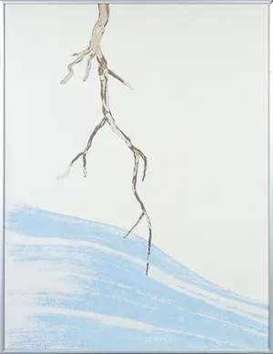 Johannes van Hoften - Acryl op papier, Waterschijven - Ingelijst kopen? Bied vanaf 1!