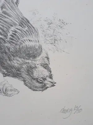 Peter Vos - Dwerg, litho kopen? Bied vanaf 1!