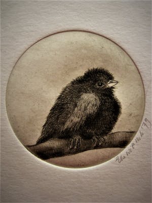 Niet of onleesbaar gesigneerd - Grafisch meesterwerkje "Vogeltje op tak" gesigneerd en gedateerd kopen? Bied vanaf 1!