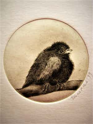 Niet of onleesbaar gesigneerd - Grafisch meesterwerkje "Vogeltje op tak" gesigneerd en gedateerd verkocht voor € 1!