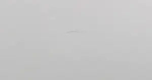 Jos van de Geer - Gouache, Zonder titel - Ingelijst (Groot) kopen? Bied vanaf 100!