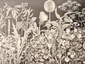 Dirk van Gelder - Fraai gedetailleerde -kleine oplage- Ets - veld met wilde bloemen - gesigneerd kopen? Bied vanaf 50!