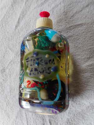 Evelyn Jansen - FLOTSUM AFWAS verkocht voor € 1!